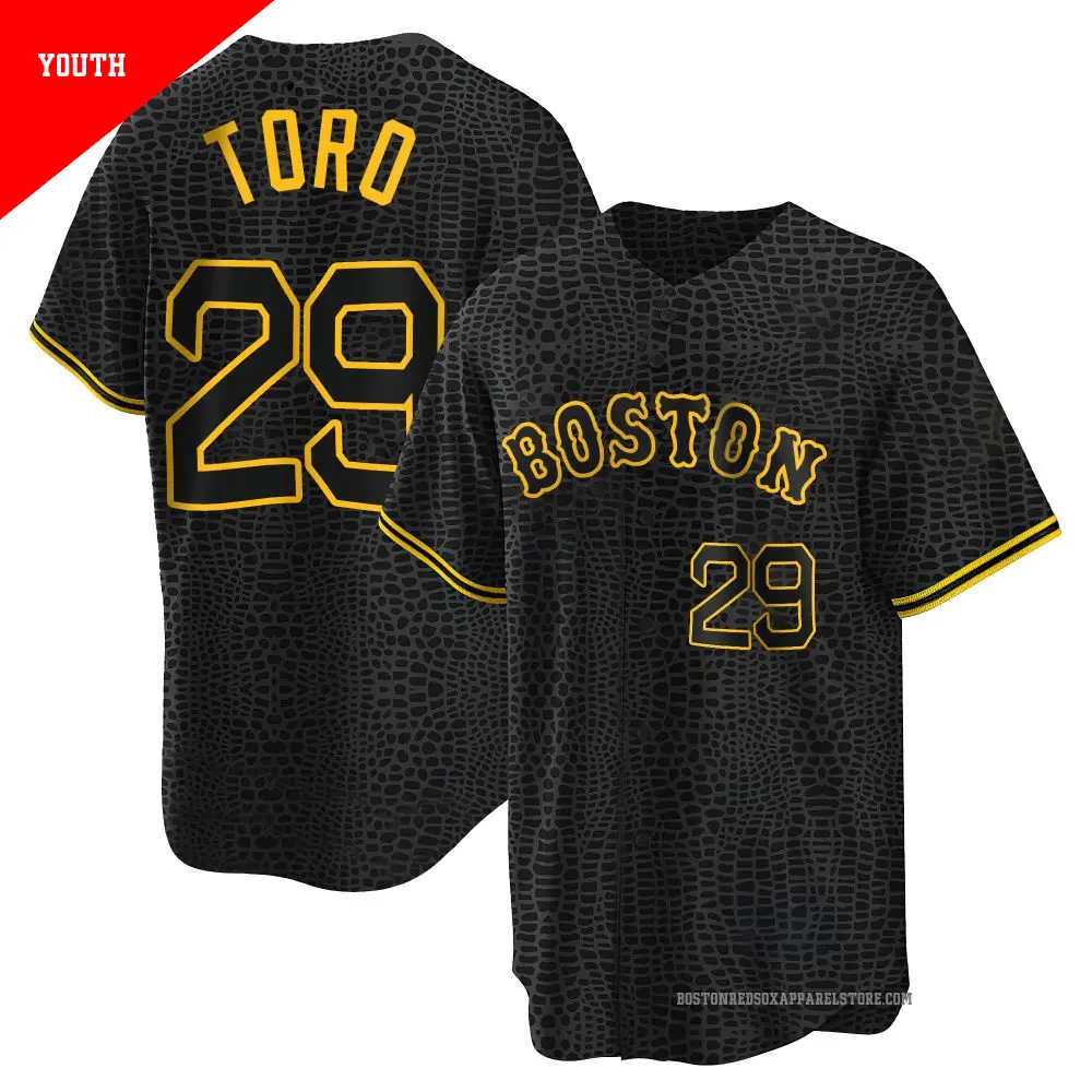 Youth ＃29 Abraham Toro Boston Red Sox Black Replica Snake Skin City Jersey