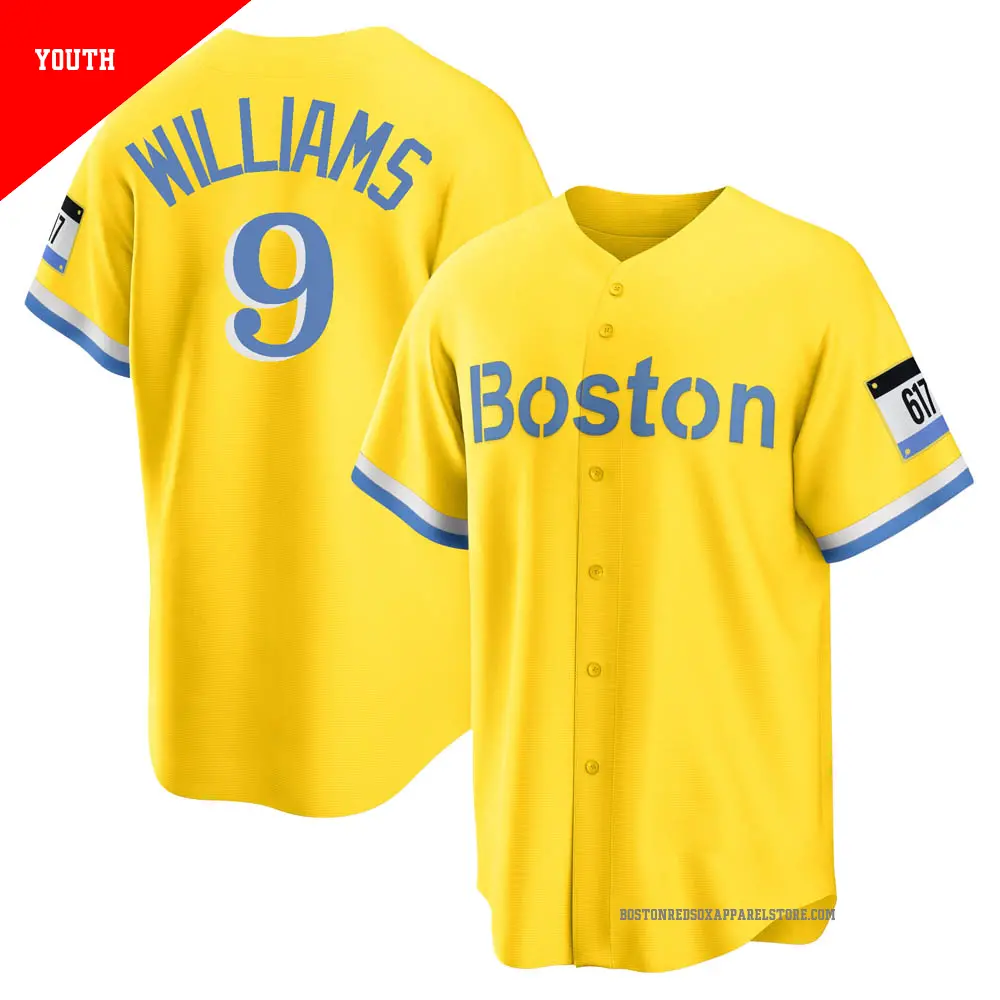Youth ＃9 Ted Williams Boston Red Sox Light Blue Replica Gold/ 2021 City Connect Player Jersey